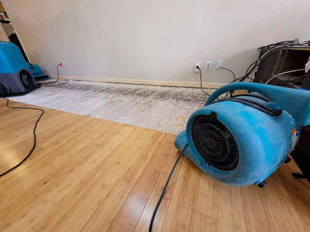 Professional Sewage Cleanup technician working in Birmingham, AL